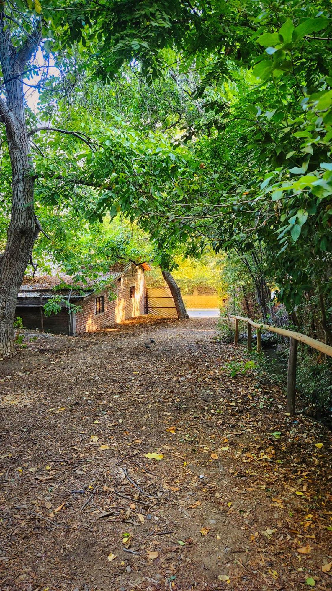 El Jardin, Eco Cabanas Boutique San Alfonso Buitenkant foto