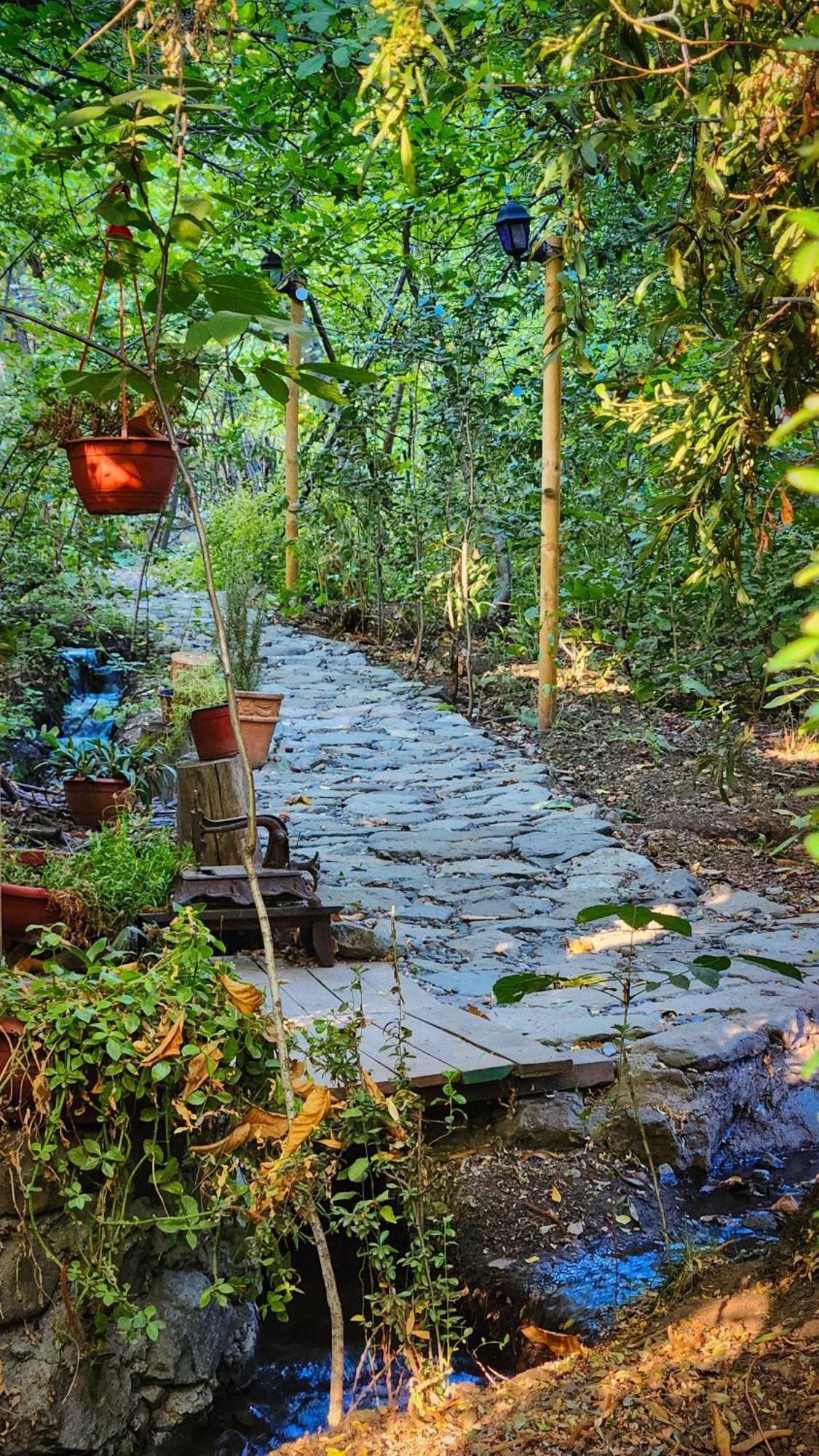 El Jardin, Eco Cabanas Boutique San Alfonso Buitenkant foto