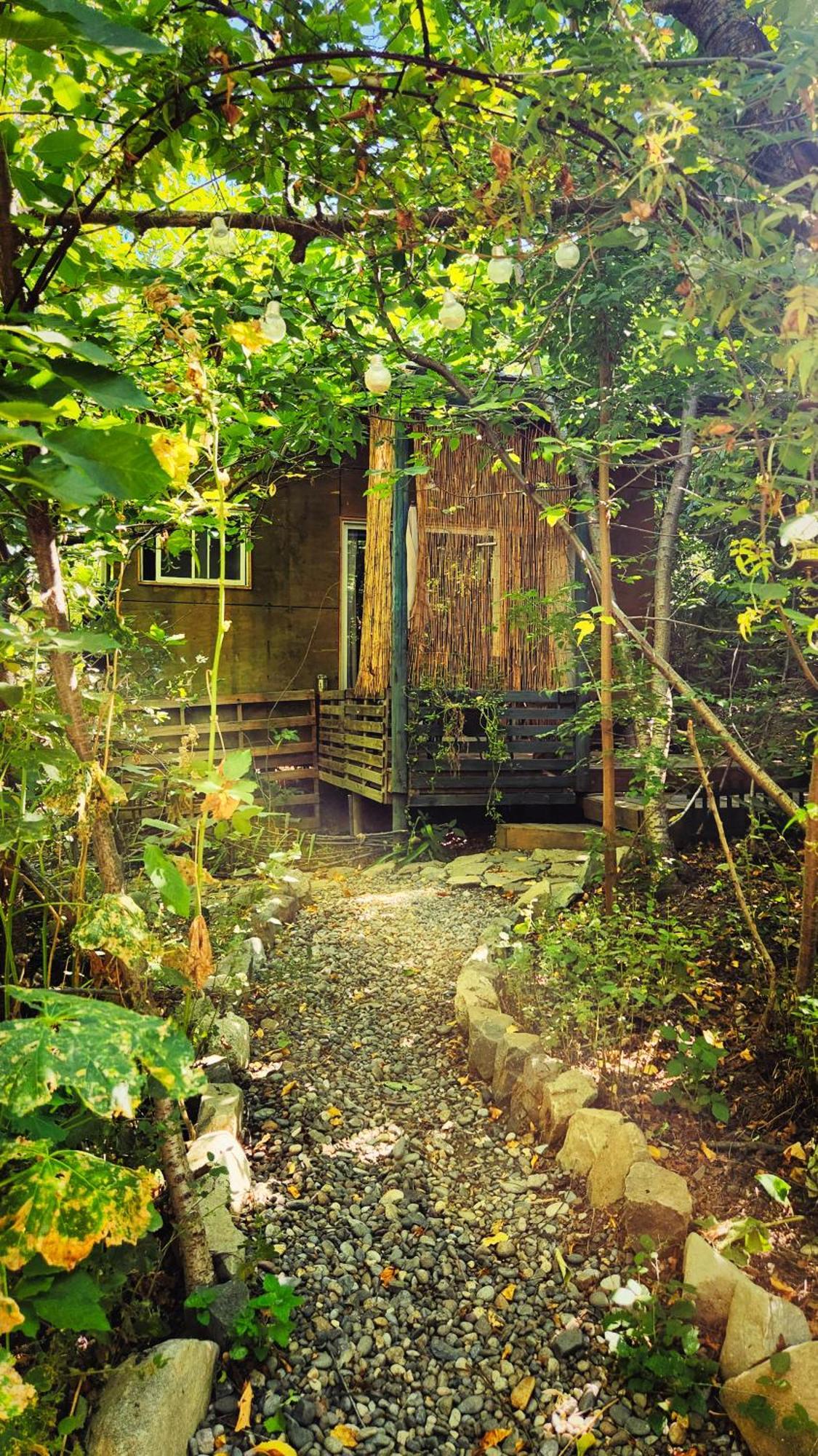 El Jardin, Eco Cabanas Boutique San Alfonso Buitenkant foto