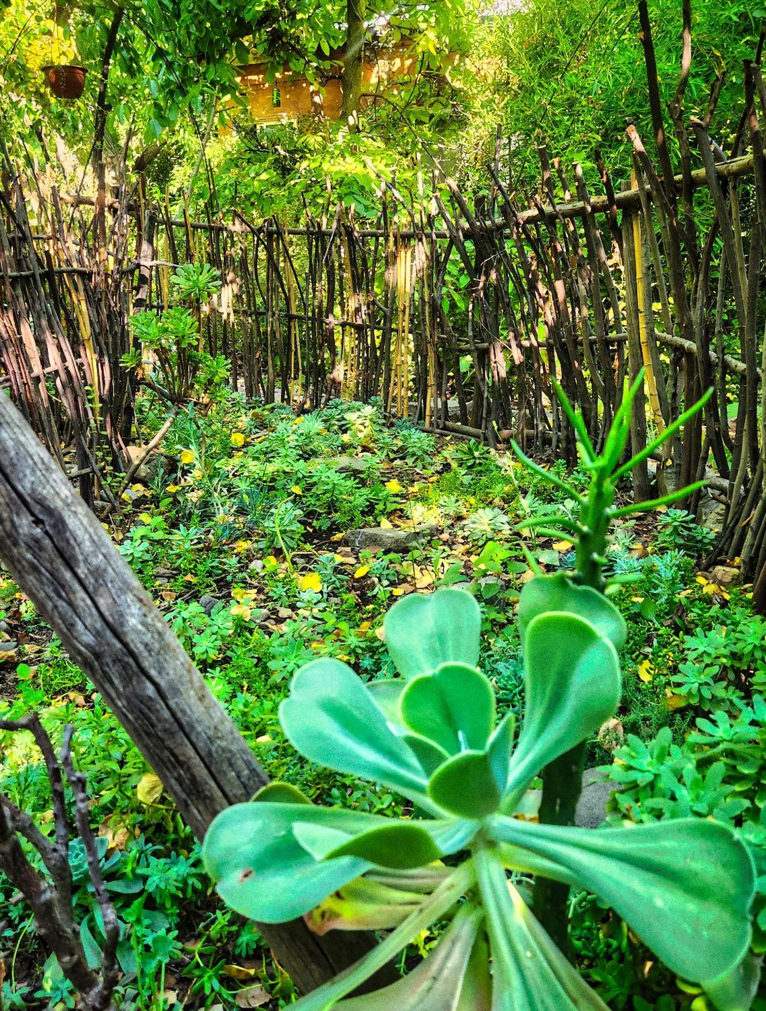 El Jardin, Eco Cabanas Boutique San Alfonso Buitenkant foto